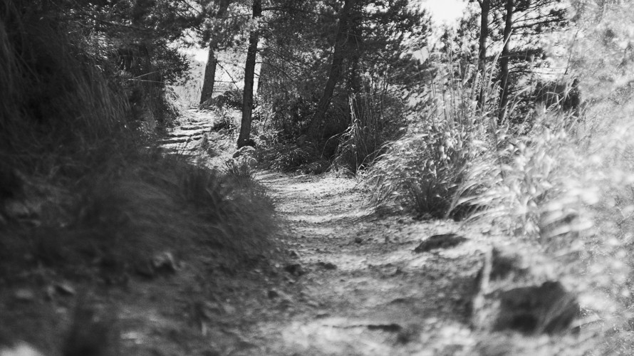 neue Wege